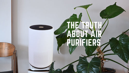 air purifier near plant