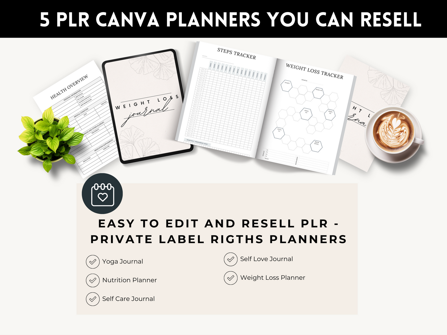 Digital Product Starter Kit with PLR Templates